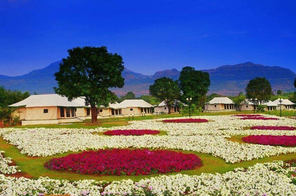 Aamby Valley City Lonavla Zewnętrze zdjęcie Flower garden in the resort